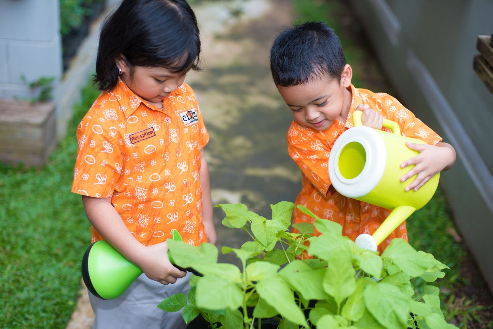 Sekolah Cikal Bertekad Pulihkan Ekosistem Hutan